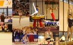 Championnats de France Intercomités de Gymnastique