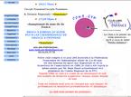 ARGENTEUIL GYMNASTIQUE