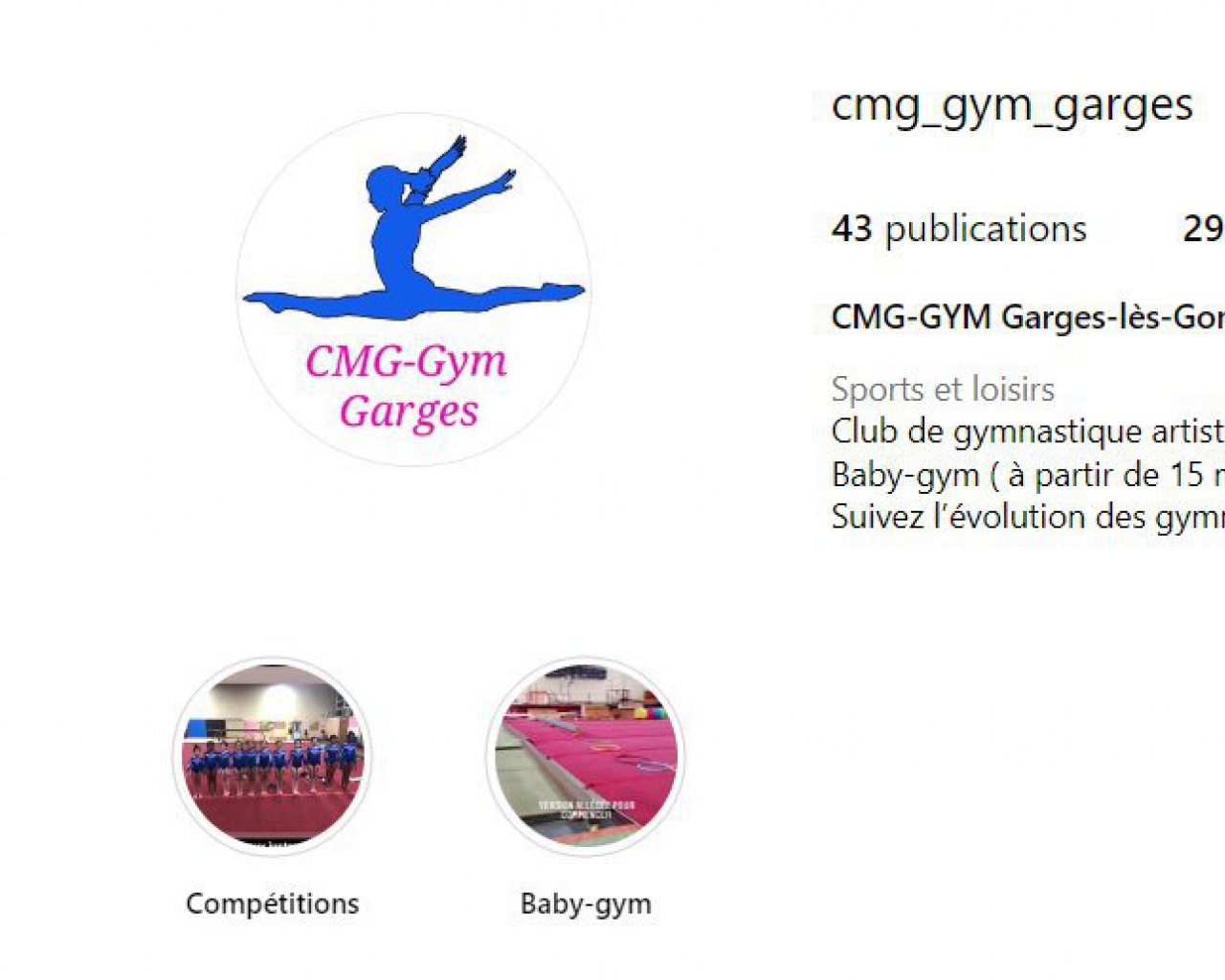 CLUB MULTISPORTS DE GARGES-LES-GONESSES