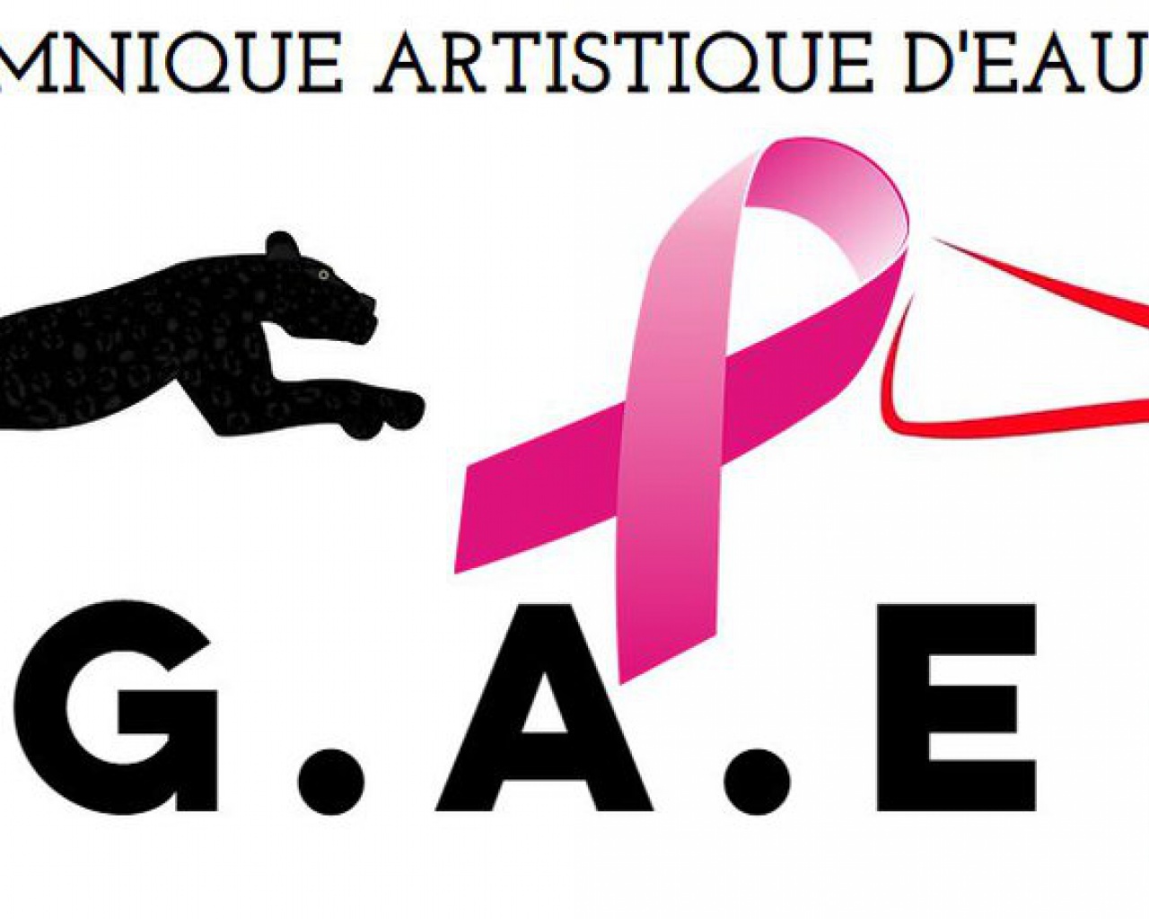 CLUB GYMNIQUE ARTISTIQUE D'EAUBONNE