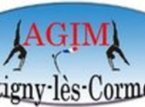 ASSOCIATION GYMNIQUE IGNY MONTAINE