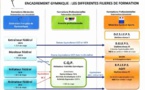 Encadrement Gymnique : Les différentes filières de formation