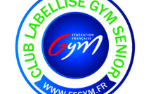 Liste des clubs FFGym du Val d'Oise