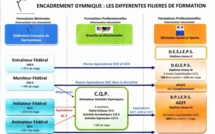 Encadrement Gymnique : Les différentes filières de formation Encadrement Gymnique : Les différentes filières de formation